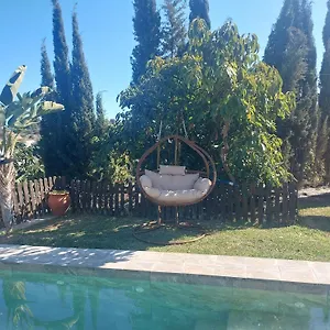 Aguacate Con Apto Nerja
